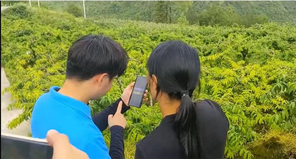 云果优选乡村振兴实践团深入酉阳天馆村，实地探访特色水果种植基地发展路径